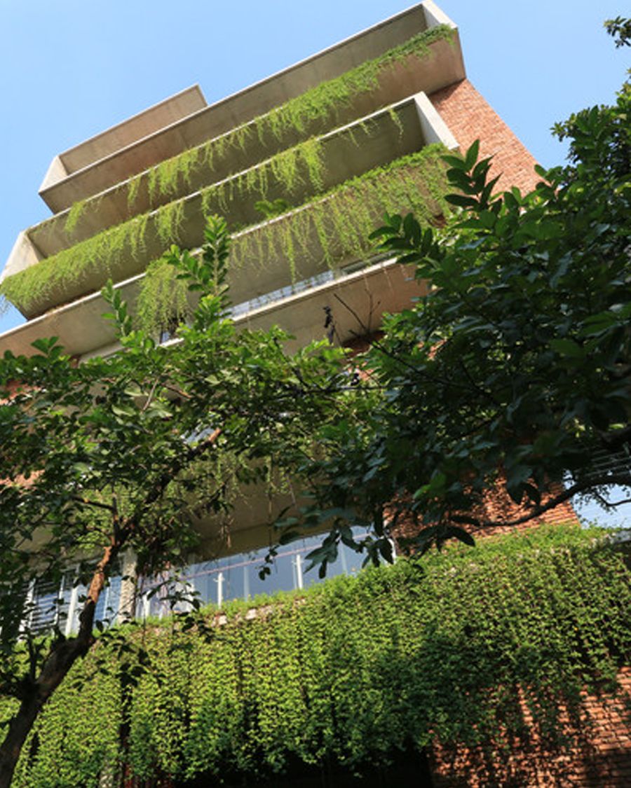 Concrete balconies draped in green creepers against a clear sky